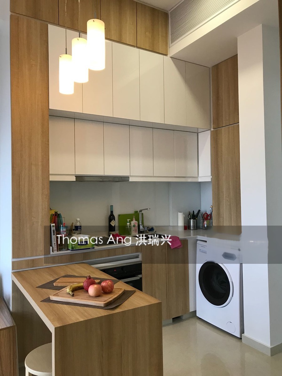 Spottiswoode Suites (D2), Apartment #208415921